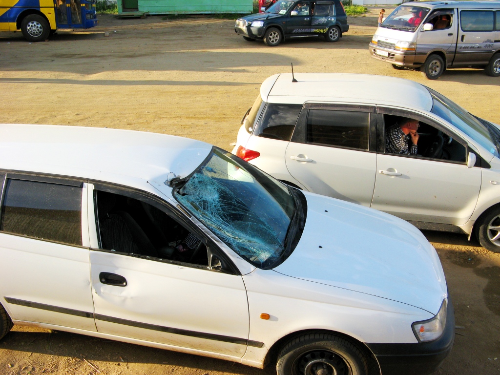 сбил корову на смерть