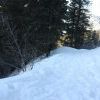 IMG 5683