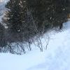 IMG 5684