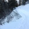 IMG 5687