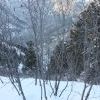 IMG 5688