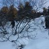 IMG 5689