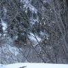 IMG 5692