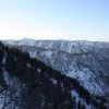 IMG 5693