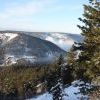 IMG 5697