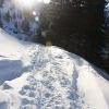IMG 5698