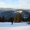IMG 5752