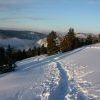 IMG 5756
