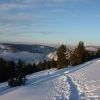 IMG 5757