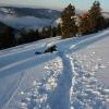 IMG 5758