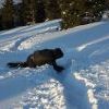 IMG 5759