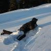 IMG 5760