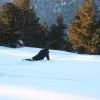IMG 5764