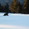 IMG 5765