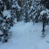 IMG 5780