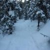 IMG 5781