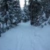 IMG 5785