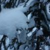 IMG 5786