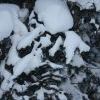 IMG 5787