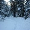 IMG 5789