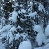 IMG 5790