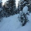 IMG 5791