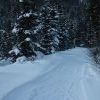 IMG 5795