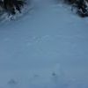 IMG 5800