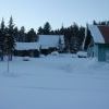 IMG 5817