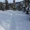 IMG 5853