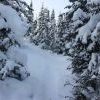 IMG 5856