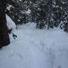 IMG 5857