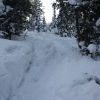 IMG 5858