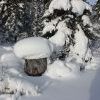IMG 5862