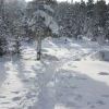 IMG 5863
