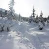 IMG 5868