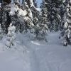 IMG 5870