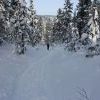 IMG 5872