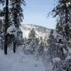 IMG 5873