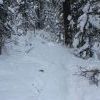 IMG 5876