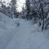 IMG 5881
