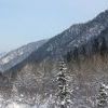 IMG 5884