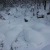 IMG 5886