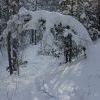 IMG 5891