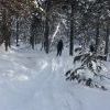 IMG 5892