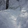 IMG 5893