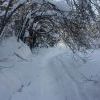 IMG 5894