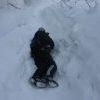 IMG 5896