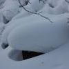 IMG 5897