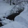 IMG 5901
